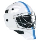Virtual Goaltender