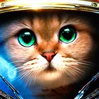 Armored Kitten MOD money