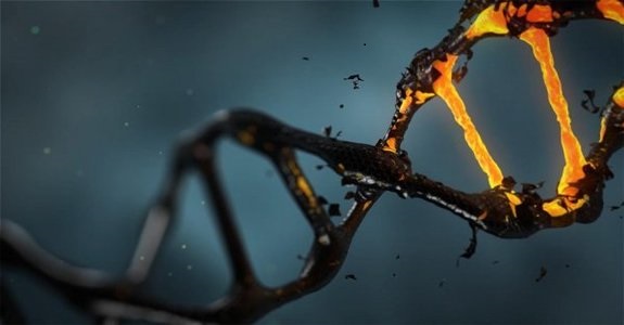 Chinese nanorobots put an end to cancer