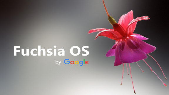 Operating system Fuchsia OS for new innovative devices from Google