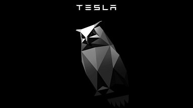 Following Cybertruck, Elon Musk introduced Cyberowl